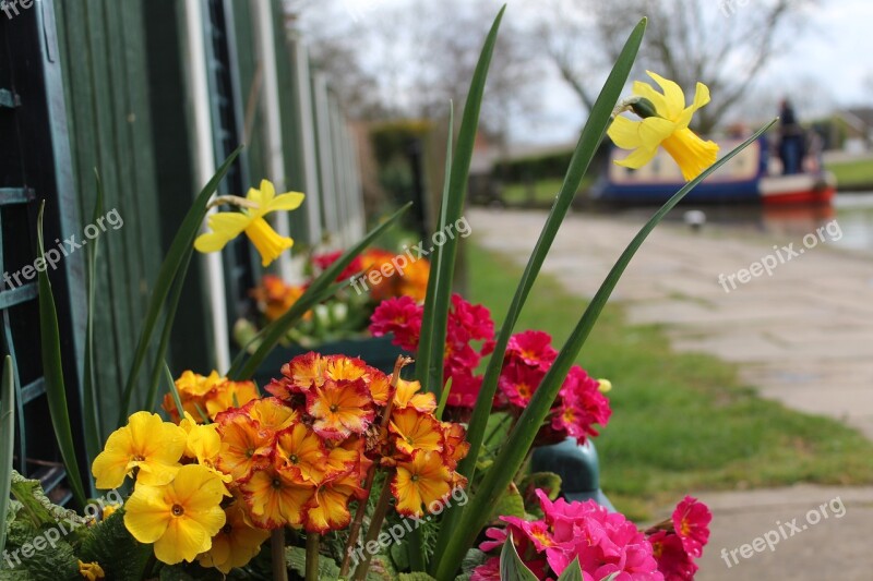 Flower Nature Flora Narrowboat Free Photos