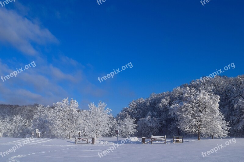 Landscape Snow Winter Tree Cold