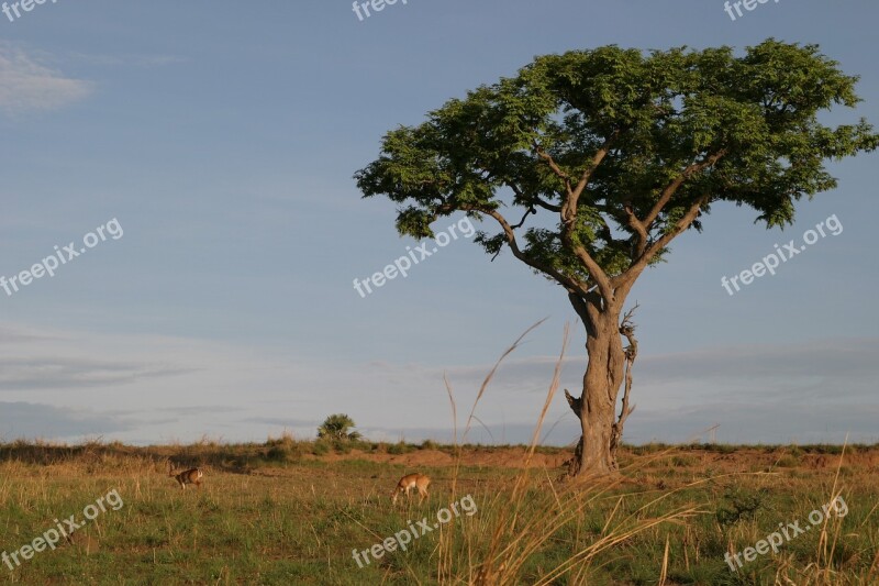 Nature Landscape Outdoor The Dome Of The Sky Free Photos