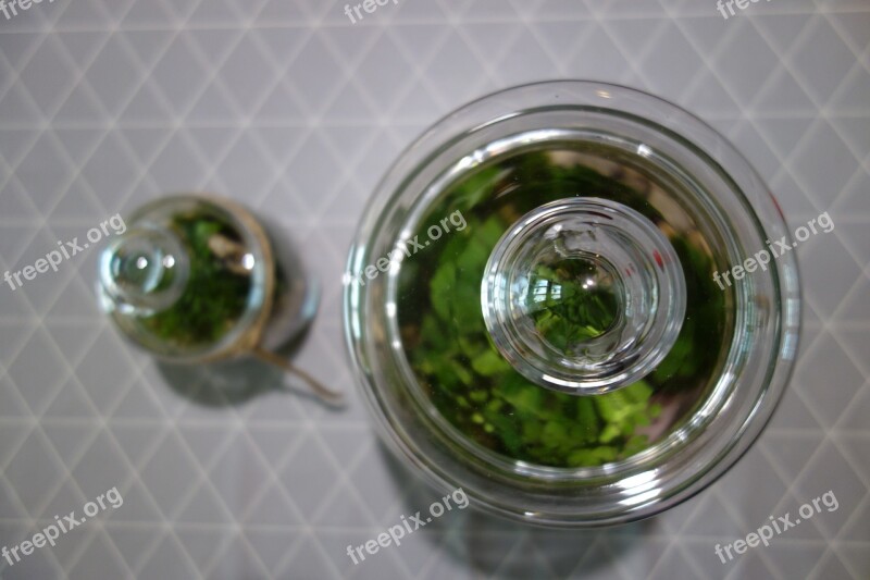 Jars Plants Forest In A Jar Macro Free Photos