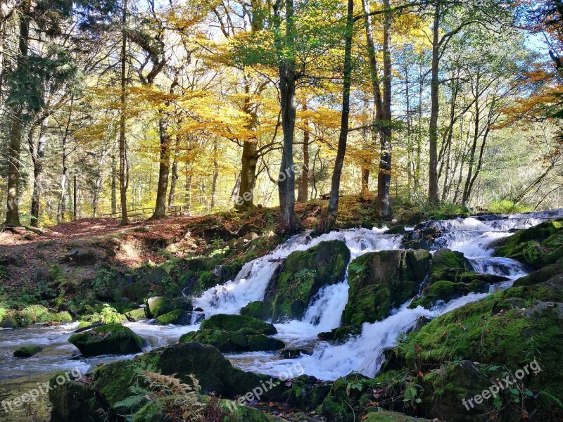 Nature Landscape Waters Wood Autumn