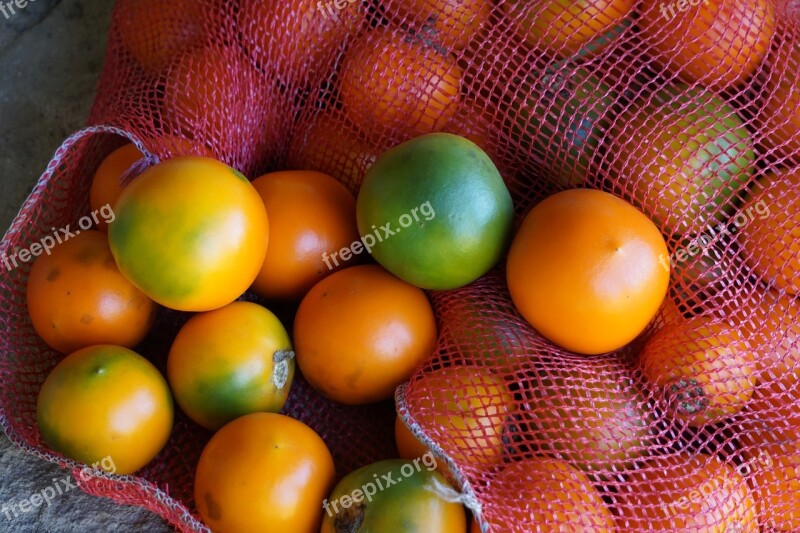 Food Fruit Desktop Color Grow