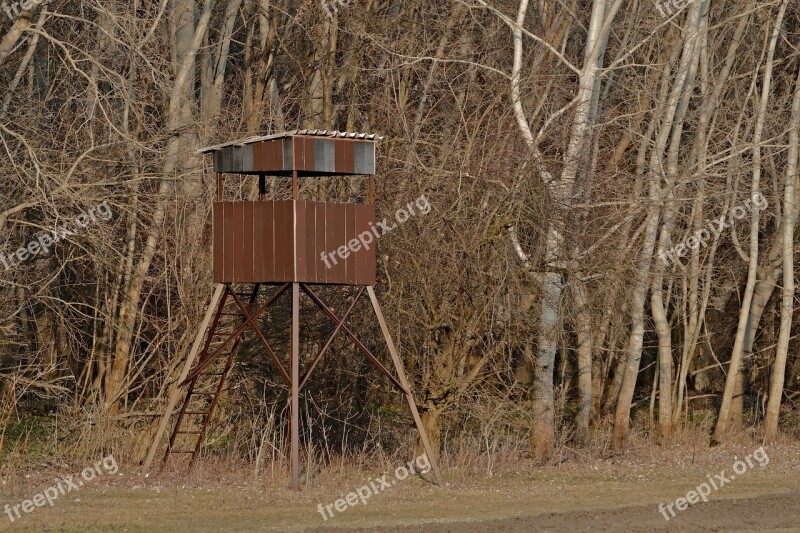 Nature Forest Trees Ladder Hunting