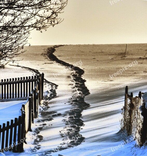 Nature Landscape Winter Snow Away