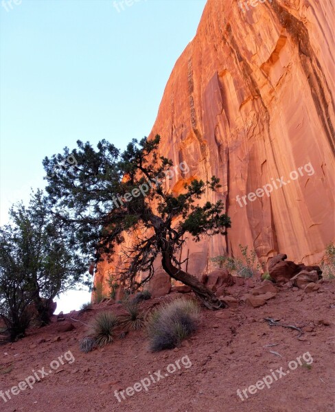 Usa Nature Travel Outdoor Desert