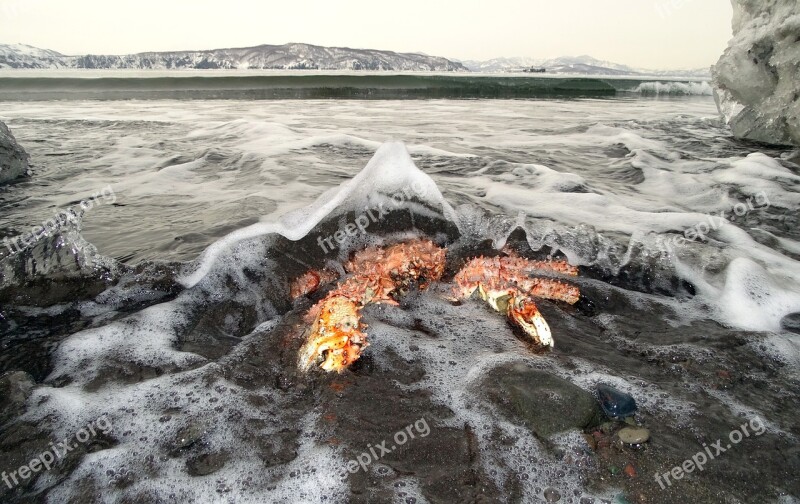 The Pacific Ocean Crab Sea Mountains Rocks