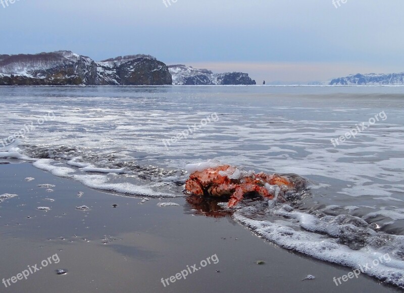 The Pacific Ocean Crab Sea Mountains Rocks