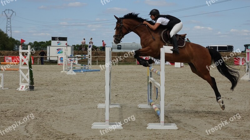 Horse Competition Barriers Amateur Chailley Marshes Free Photos