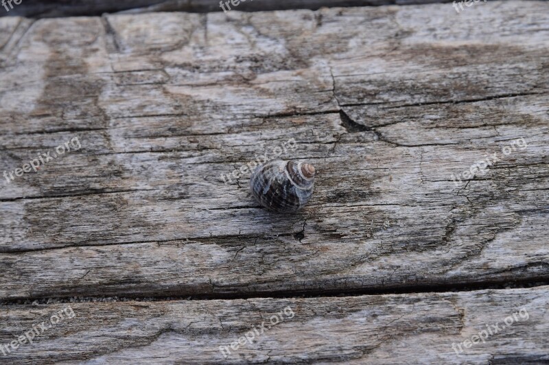 Wood Background Textiles Old Wall