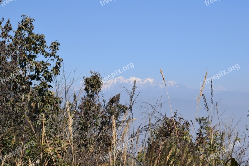 Nature Sky Tree Flora Landscape