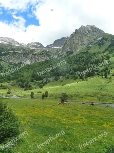 Nature Landscape Mountain Lawn Summer