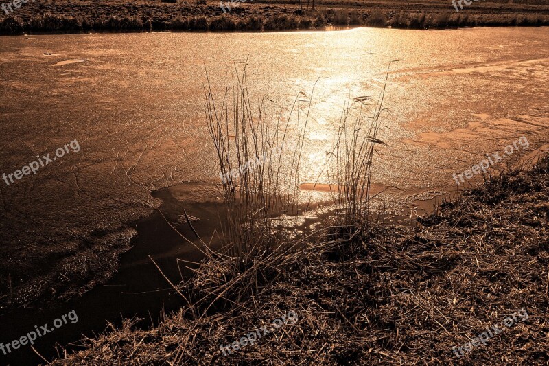 Water Course Frozen Ice Frozen Surface Winter