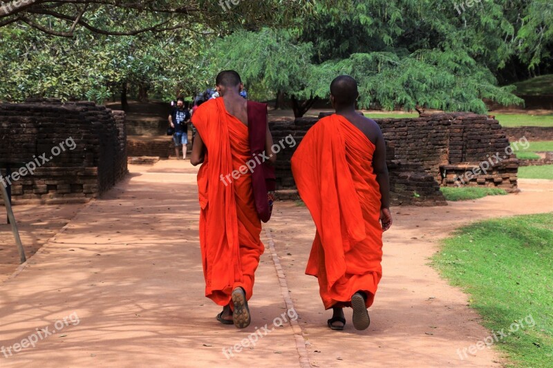 Monk Buddhist People Order Adult