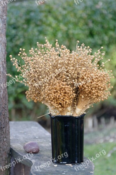 Nature Flax Flax Bouquets Bouquet Of Flax Plant