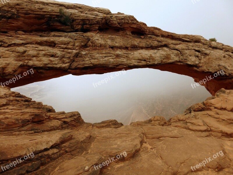 Usa National Park Ark Fog Nature