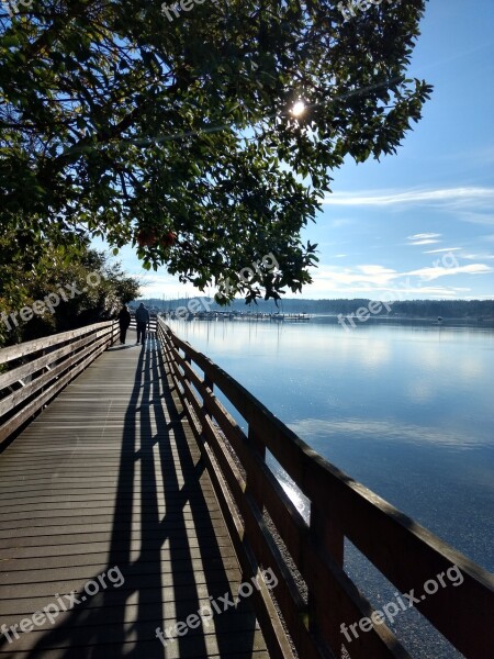 Boardwalk Bay Water Madrona Tree