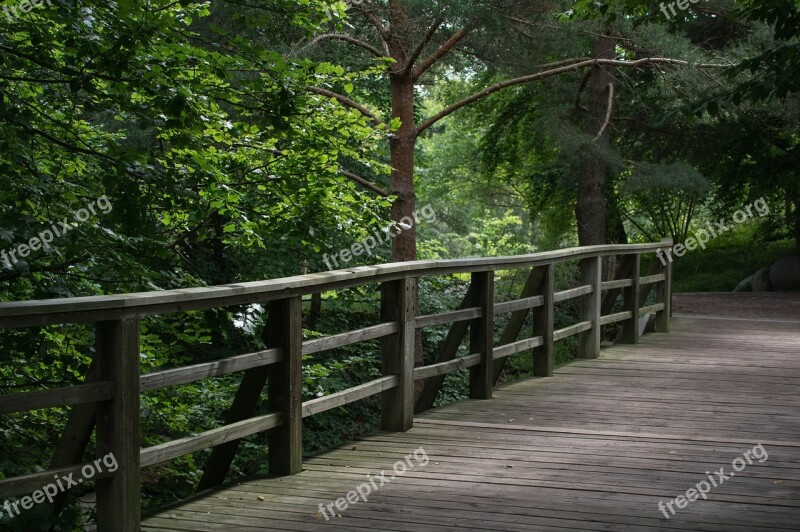 Bridge Bridge Railing Wood Tree Nature