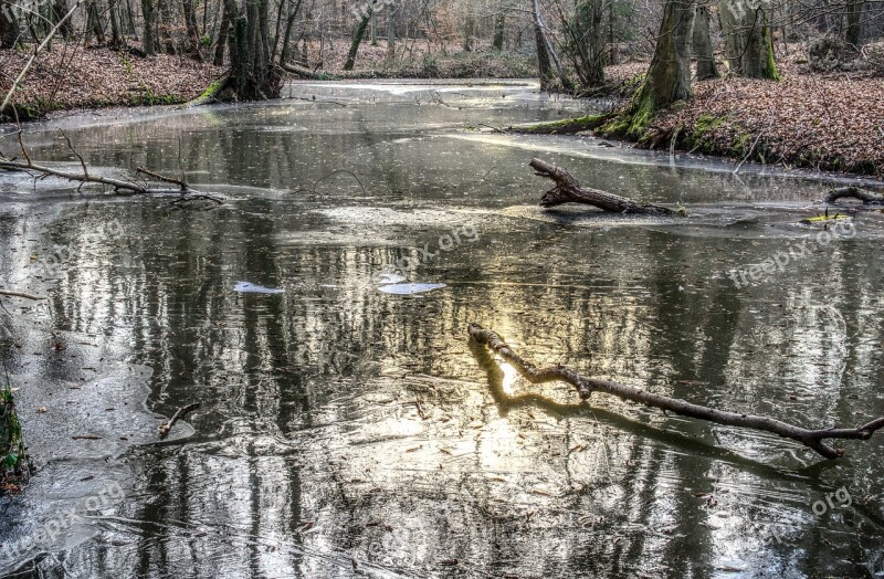 Frozen Lake Ice Ice Rink Cold