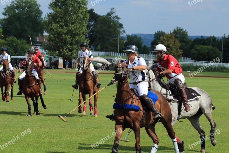 Horse Course Competition Track Jockey