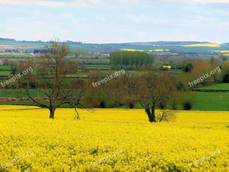 Field Nature Agriculture Landscape Farm