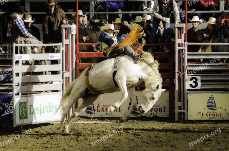 Contest Livestock Rodeo Cavalry Stadium