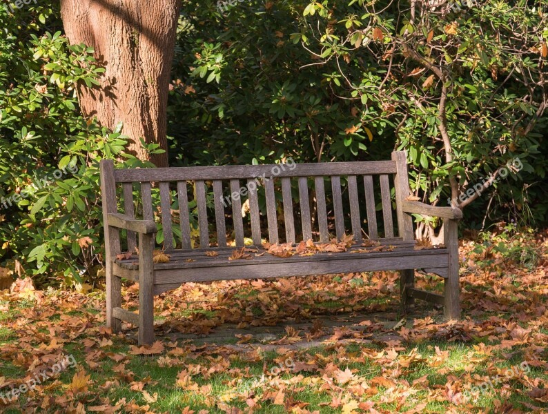 Wood Bank Leaf Autumn Garden