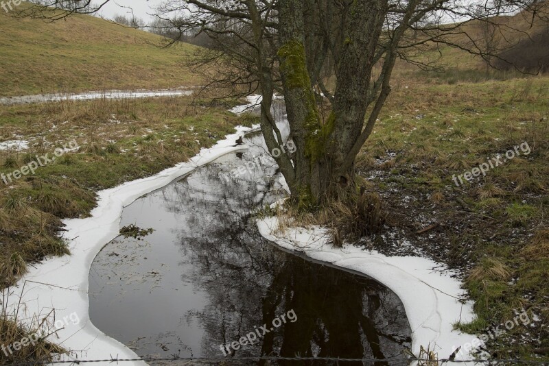 Monolithic Part Of The Waters Landscape Nature Tree Free Photos