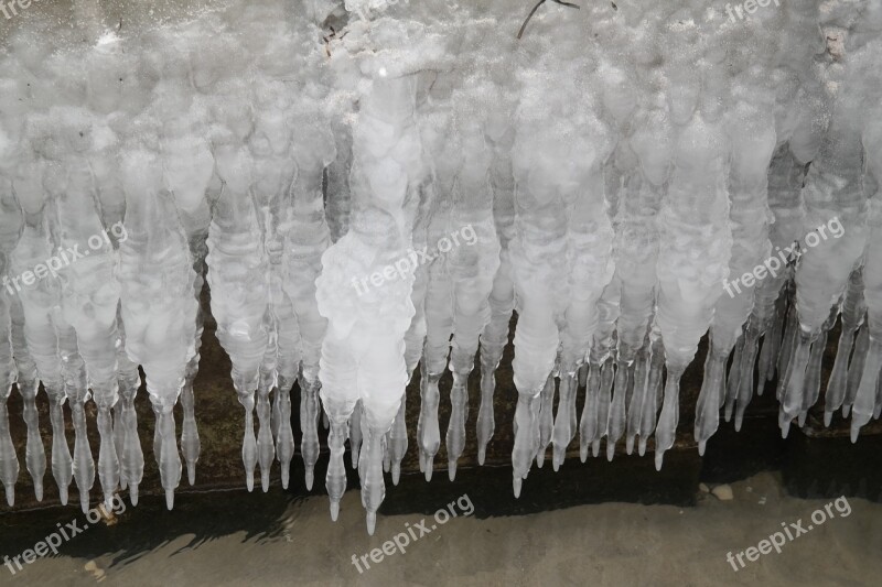 Icicle Ice Stalactite Frost Winter