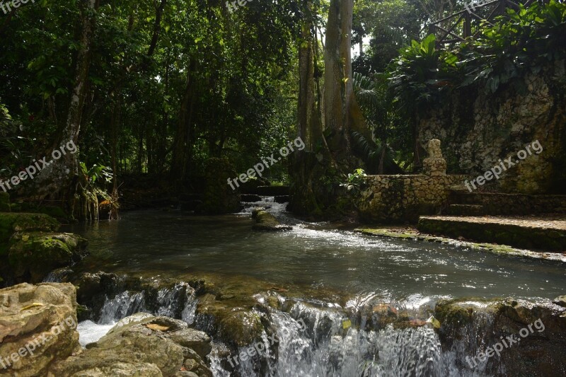 Body Of Water Nature River Waterfall Tree