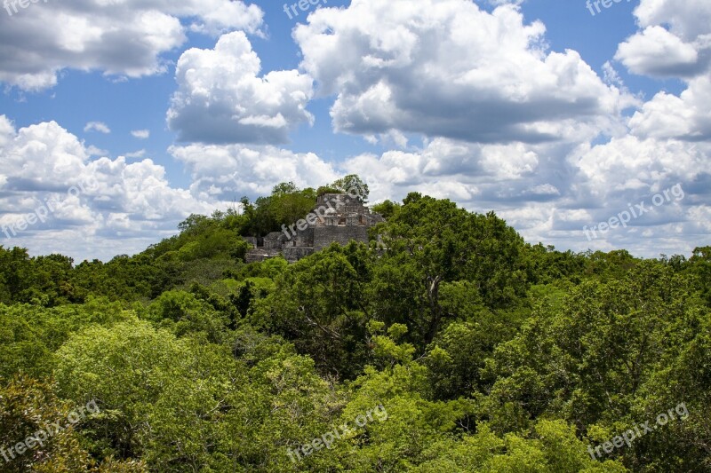 Ruins Of Calakmul Pyramid Mayan Ruins Campeche Mexico Mexico