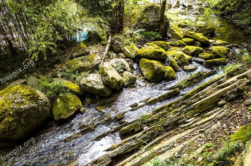 Creek Moss Fall Landscape Flow