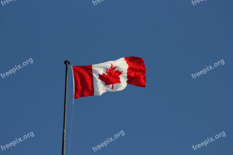 Canada Flag Flag Canada Pride Nation