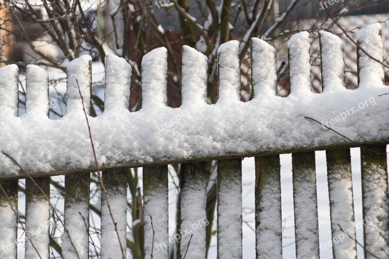 Winter Snow Frost Tree Sprig