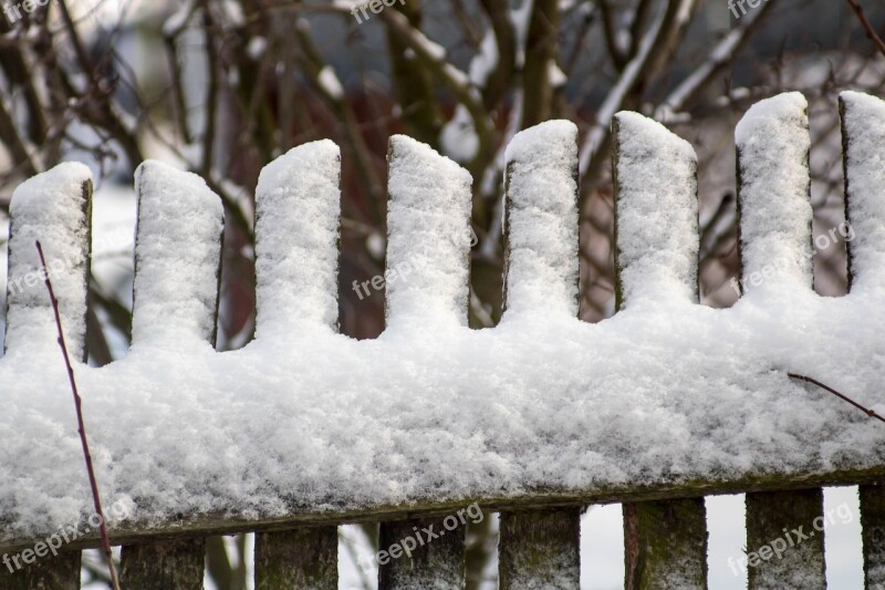 Winter Snow Frost Tree Sprig