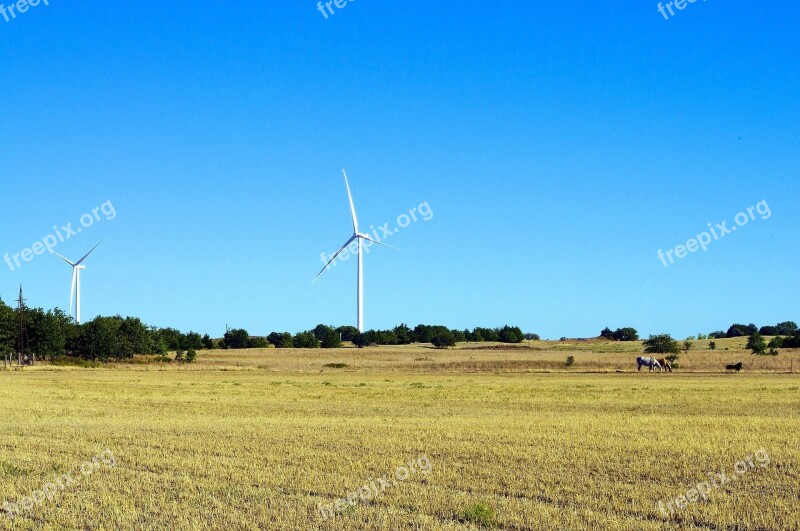 Oklahoma Wind And Horse Power Wind Horses Animal Sky