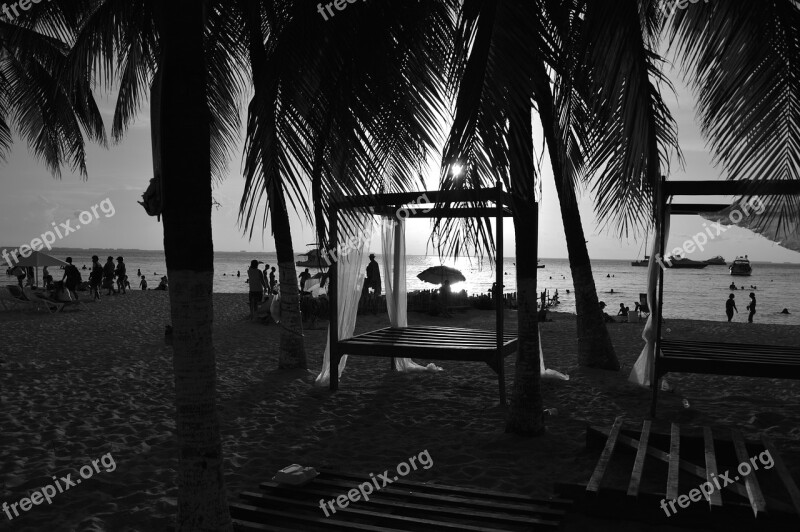 Beach Sunset Black And White Palms Mexico