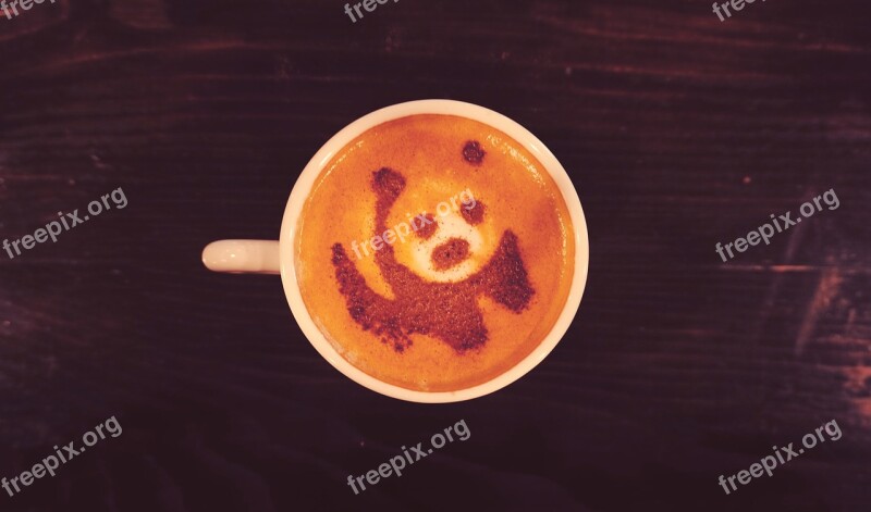 Panda Bear Coffee Panda Bears Cub