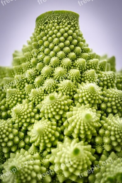 Romanesco Cauliflower Vegetables Healthy Green