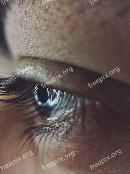 Macro Eye Skin Human Eyebrows