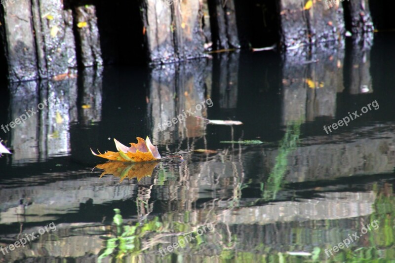 Autumn Sheet Brook Water Color