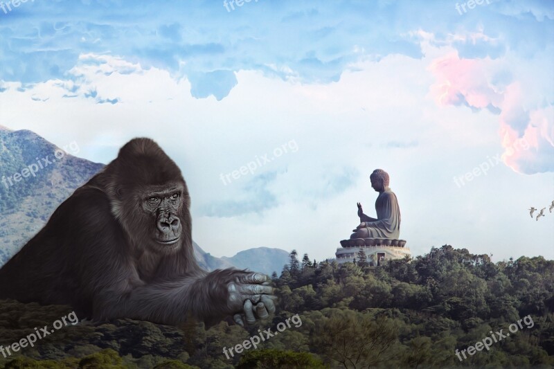 Gorilla Budda King Kong Giant Monkey