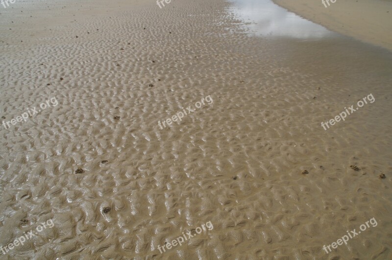 Watts North Sea Ebb Low Tide Beach