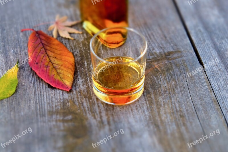 Whiskey Liquor Winter Dry Leaf Nature