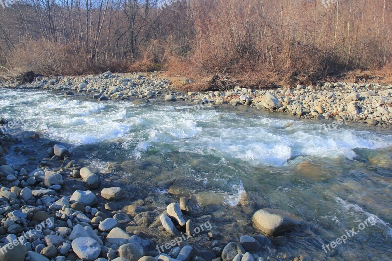 River Lucca Nature Forest Free Photos