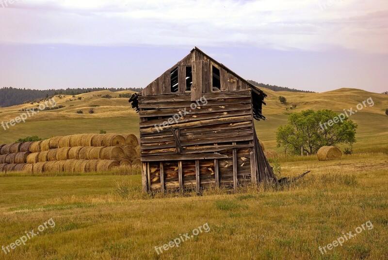 Decaying Barn Decay Old Dilapidated Weathered