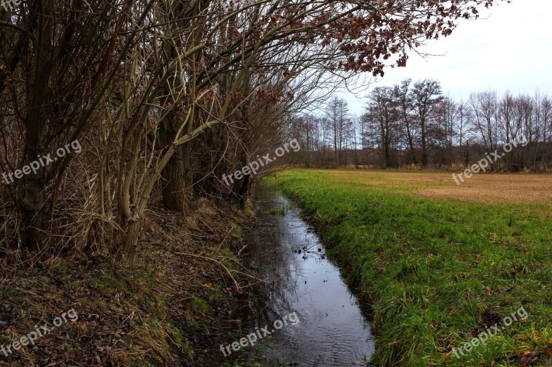 River Water Meadow Aesthetic Trees