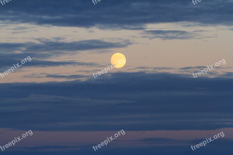 Full Moon Vancouver Island Harvest Moon Free Photos