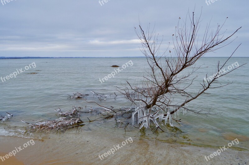 Ice Sculpture Winter Solstice Winter Shore Icicles