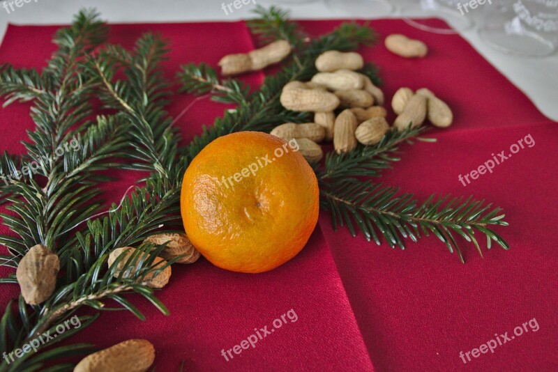 Christmas Mandarin Decoration Peanuts Deco