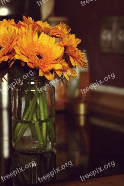 Gerbera Flowers Blossom Bloom Yellow